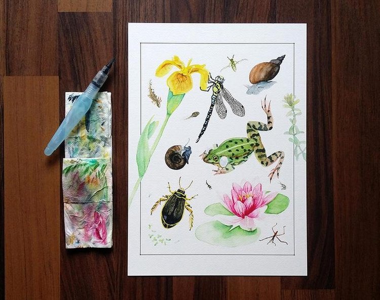 SnailMaidenStudio - Акварельные иллюстрации маленьких живых существ