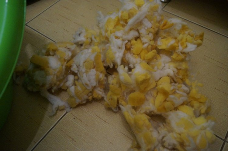 Субботняя выписка из кукольной лечебницы