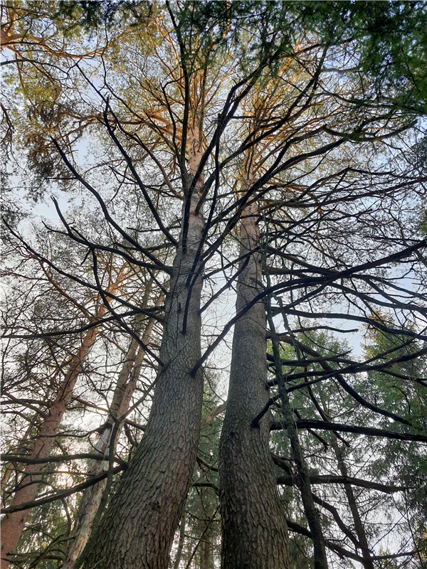 Путешествие по Святым местам Тверской области (фото 6)
