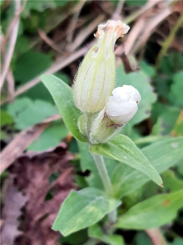 Путешествие по Святым местам Тверской области, продолжение