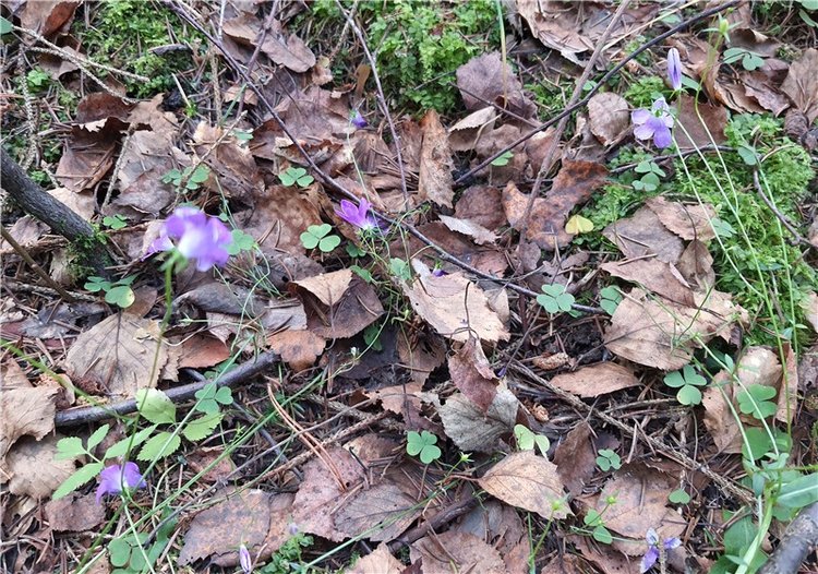 Путешествие по Святым местам Тверской области