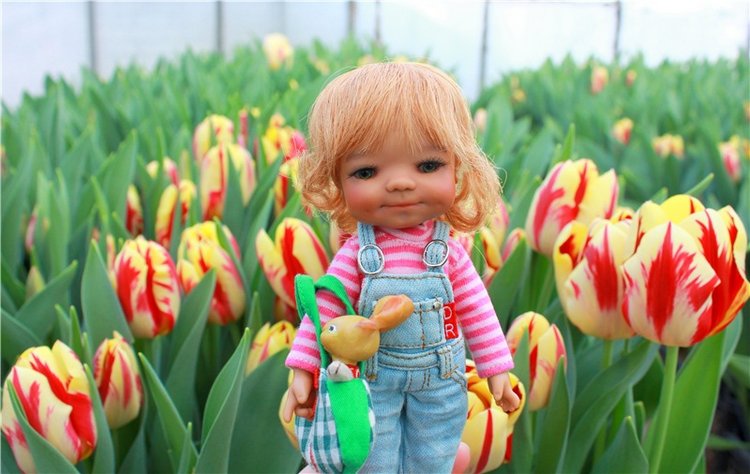 Выставка тюльпанов в Твери, продолжение