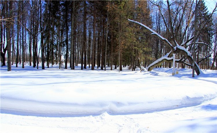 Снежный Март — Туризм и путешествия: фотоотчеты из поездок