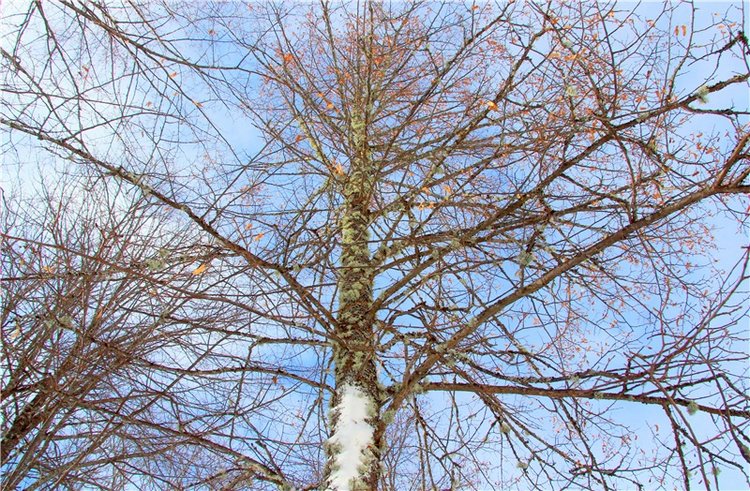 Снежный Март — Туризм и путешествия: фотоотчеты из поездок