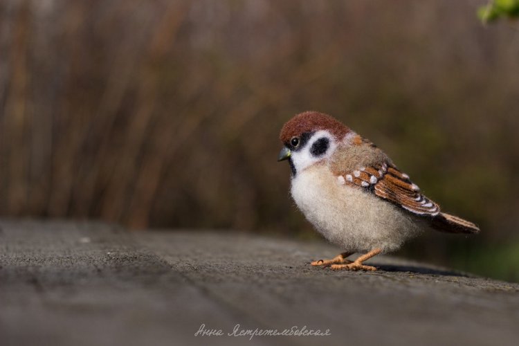 Воробушки — Валяные игрушки из шерсти: сухое валяние