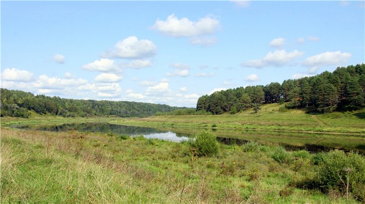 Старицкая Швейцария. Путешествие с Сашей, продолжение. Уникальная кукла от Сильвии Наттерер