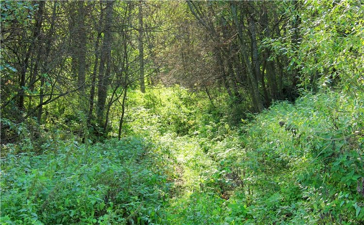 Старицкая Швейцария. Путешествие с Сашей, продолжение. Уникальная кукла от Сильвии Наттерер