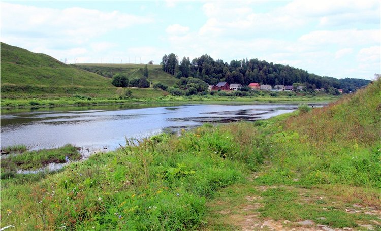 Августовская прогулка в Берново. Zwergnase Mischa (фото 5)