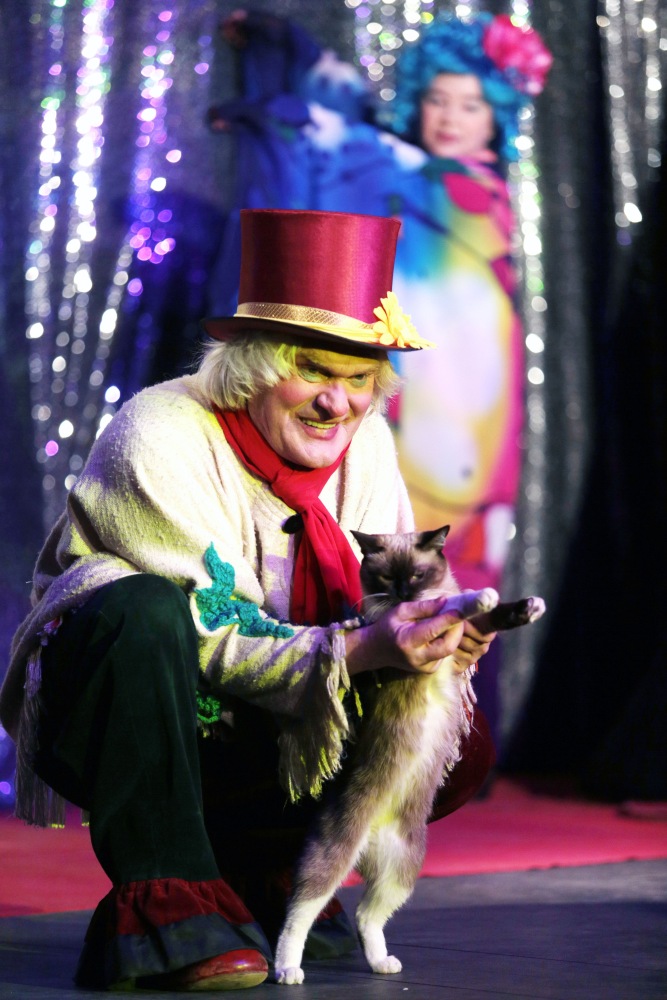 Молодое поколение клоунят или детки Дианы Эффнер