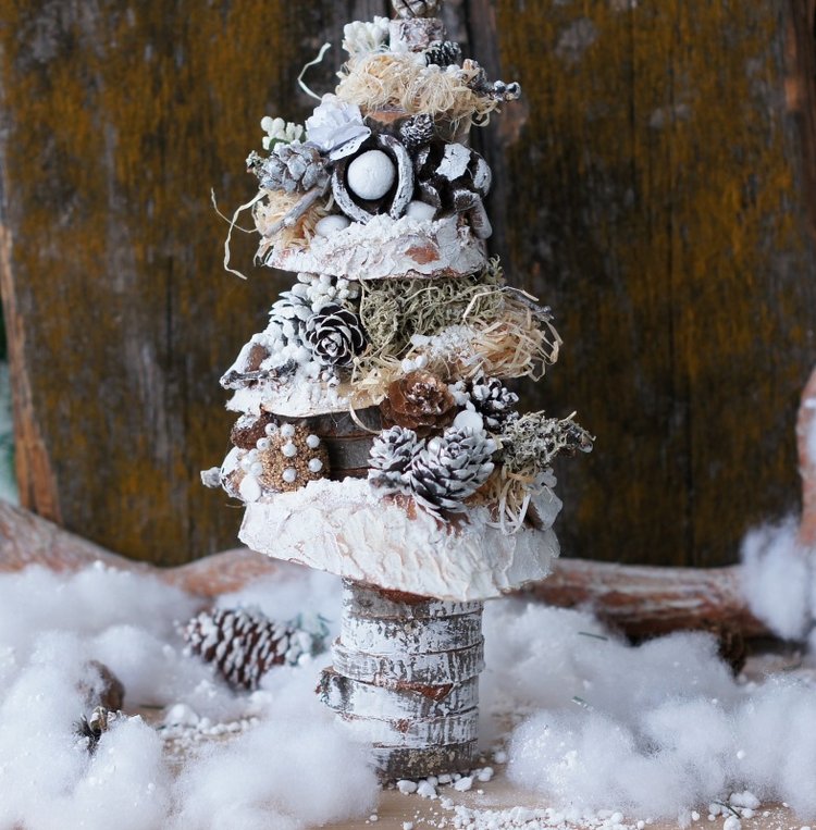 Елочка — Другие хобби и увлечения: сад (фото 5)