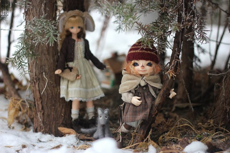 Зимние прогулки с Корицей, Мией и Волчком (фото 8)