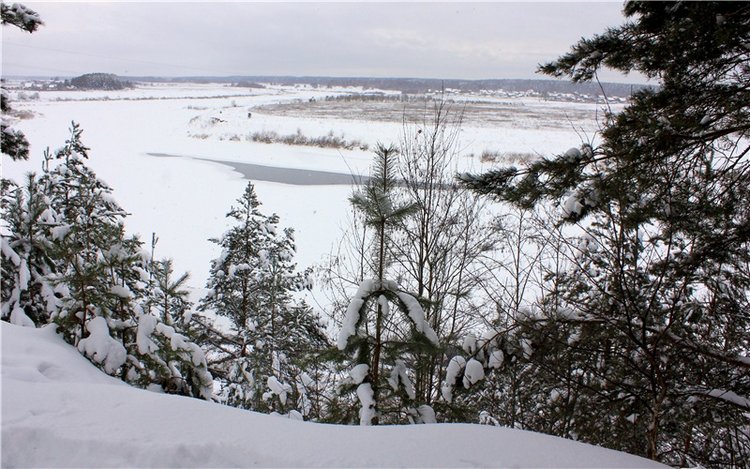 Рождественские гуляния, часть вторая. Zwergnase Mischa