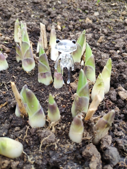 Найди меня, если сможешь — Фигурки Studio