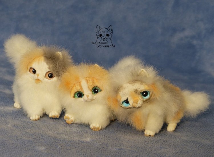 Три котенка Джейн, Пирожок и Апельсинчик (фото 7)