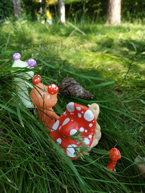 Wonderfrog. Красота в простоте