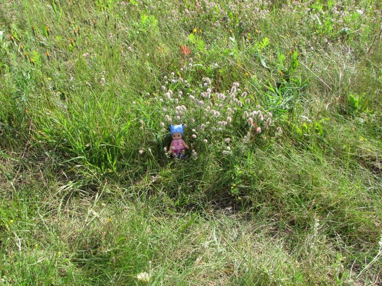 Путешествие в Нижегородскую область - часть 2 - Размещение в деревушке и прогулка по окресностям