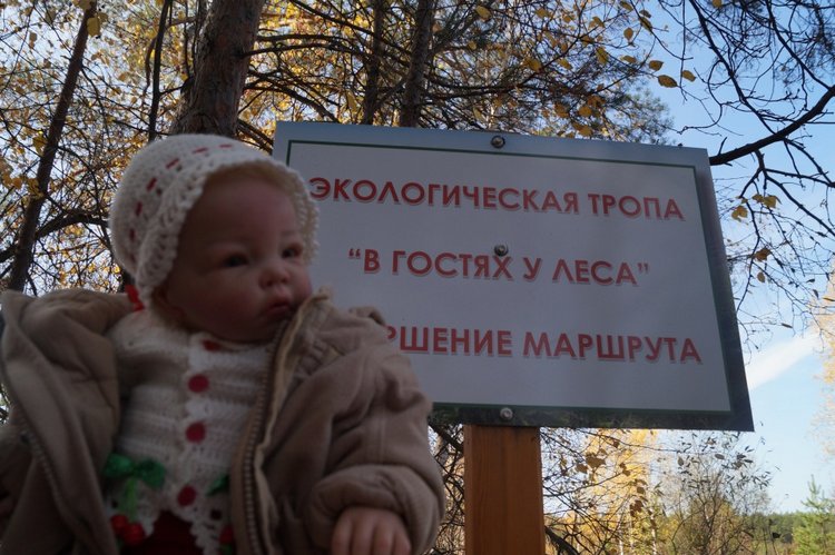 Хотите прогуляться по нашему городу? А за город - по экологической тропе