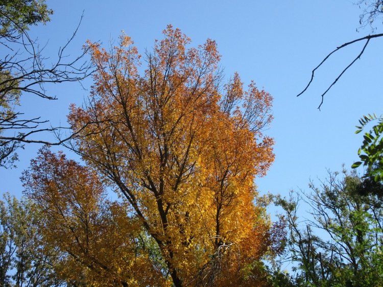 Выходной с Хеленой в Таганроге (фото 9)