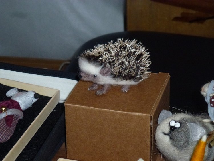 XI Московская международная выставка мишек Teddy - Ёжики | Бэйбики XI Московская международная выставка мишек Teddy - Ёжики