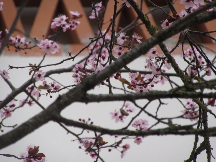 До пандемии. Путешествие по Италии, часть 3 (Флоренция, аутлет Барберино)