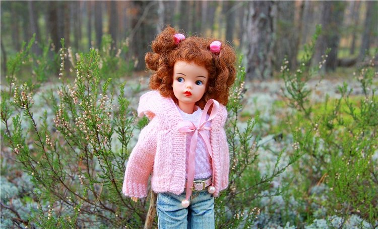 Осенняя прогулка Tammy в лесу (фото 7)