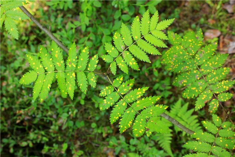 Путешествие Эли на красивый берег реки Волги