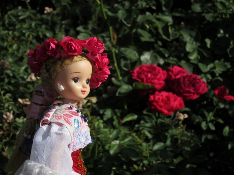 Мохнатый шмель, милая селянка. На чьей стороне ты (фото 2)