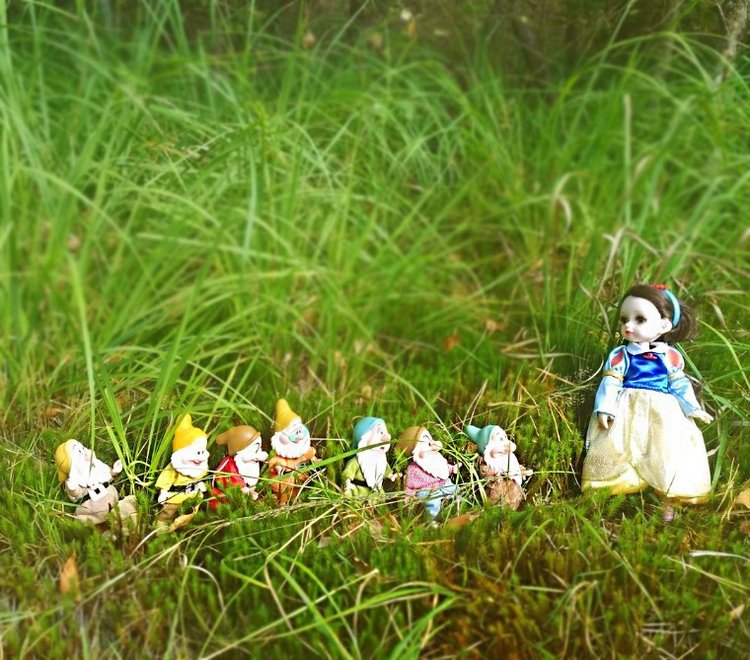 Осеннею порой под старою сосной... Принц, Белоснежка и гномы... встречаются