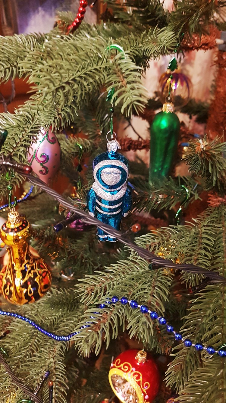 В степи родилась ёлочка, в жару она росла