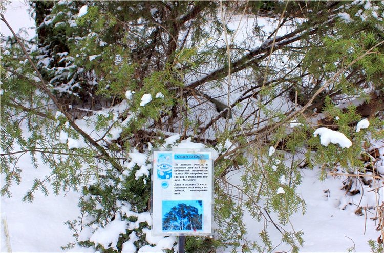 Тверской Ботанический Сад, заключительная часть