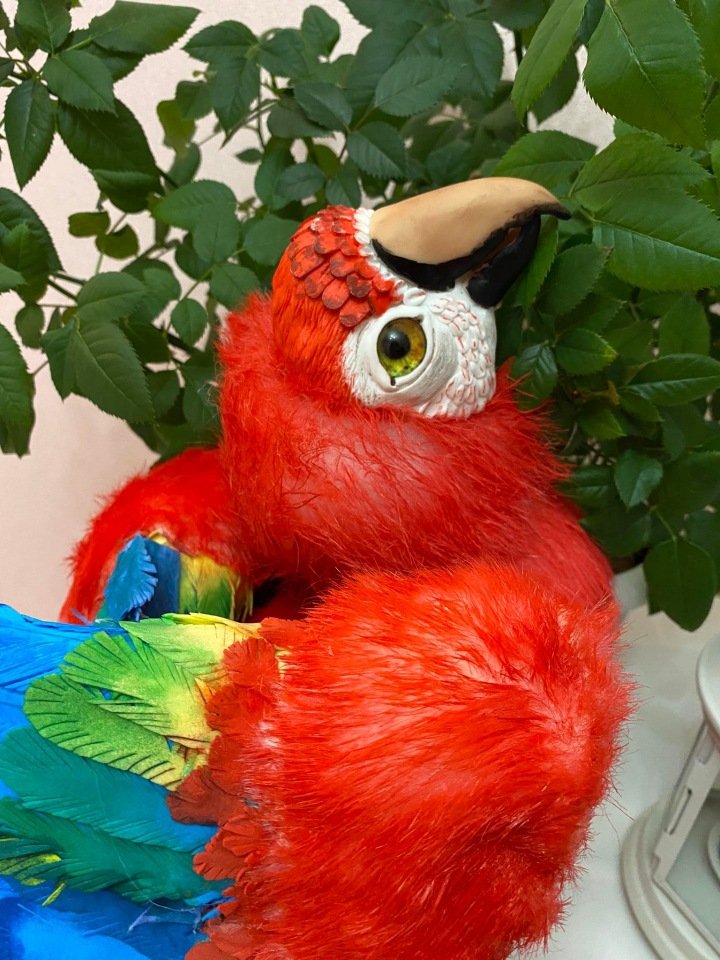 Попугай Ара — Игрушки в смешанной технике (мех и глина): Арт (фото 10)