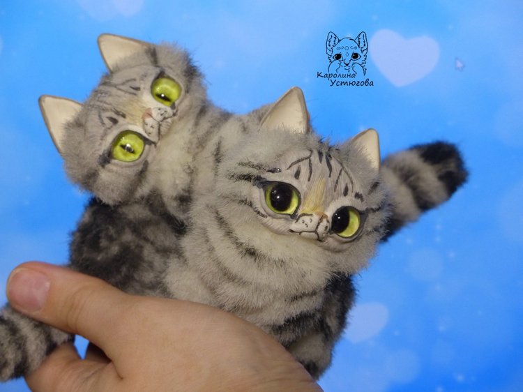 Котята и подготовка к новому году
