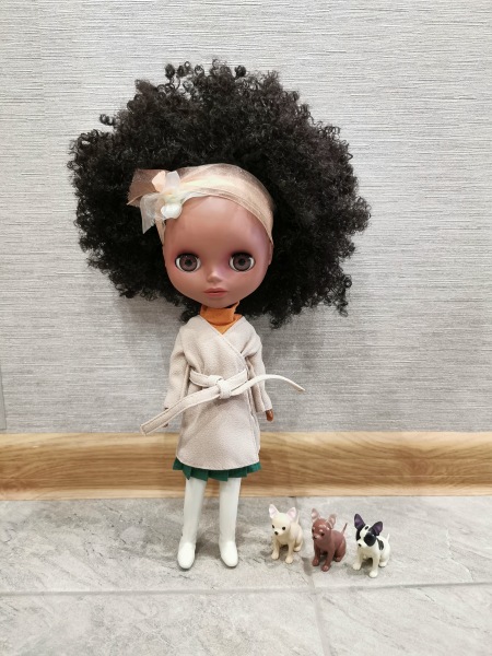 Кто такие Jecci five | Бэйбики Кто такие Jecci five — Куклы Blythe TBL (ТБЛ) и аналоги: Блюх