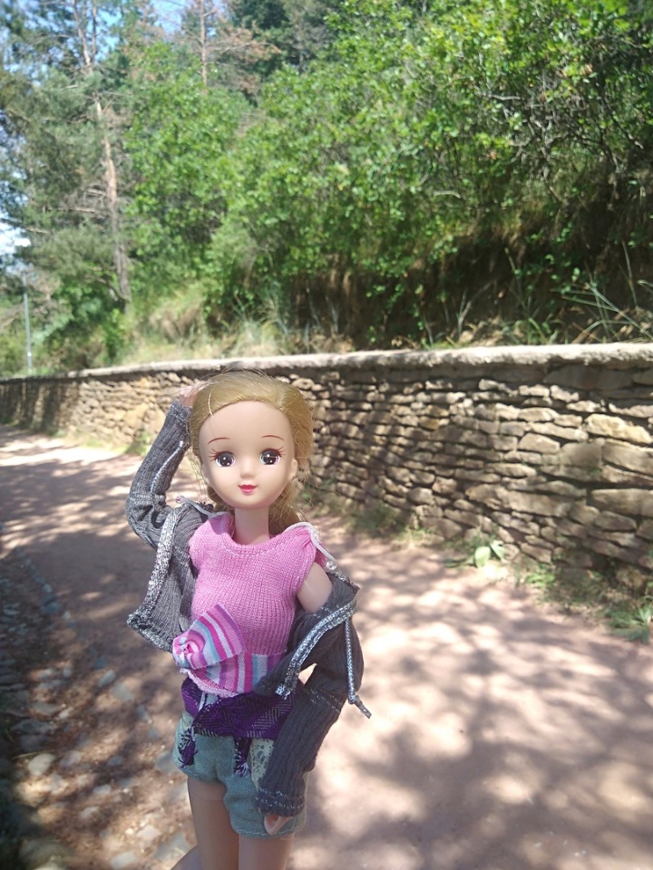 Возвращение Хелены в Кисловодск: опять за своё