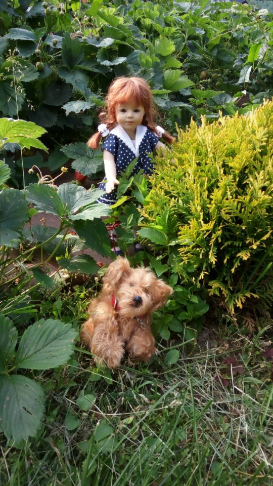 Наше лето. Коллекционная кукла Светочка Heidi Piusczok (фото 9)