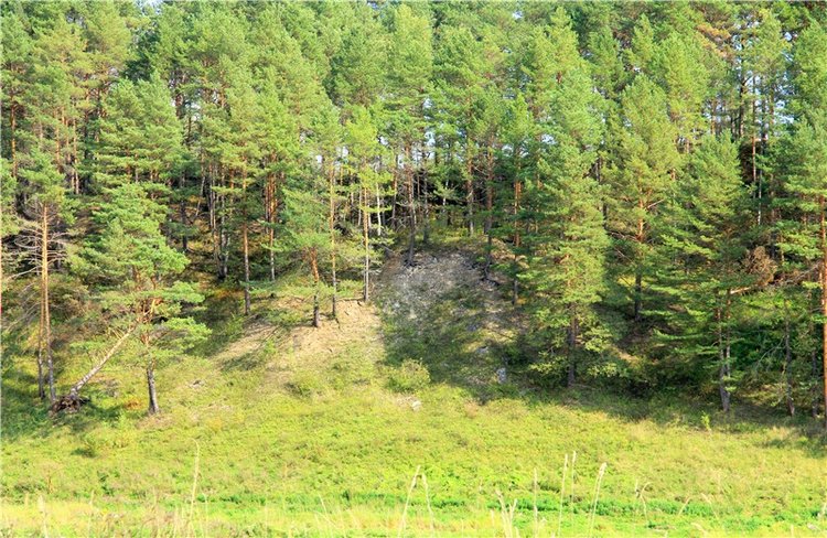 Старицкая Швейцария. Путешествие с Сашей, продолжение. Уникальная кукла от Сильвии Наттерер