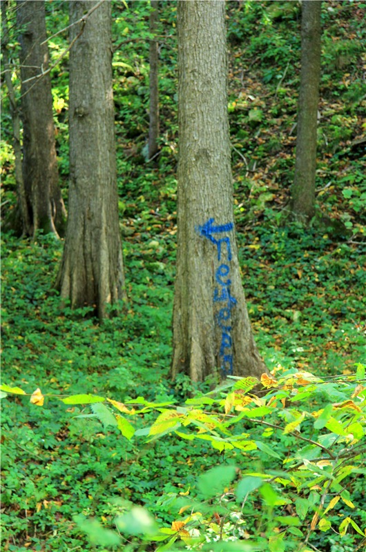 Старицкая Швейцария. Старицкие пещеры, д. Толпино, заключительная часть