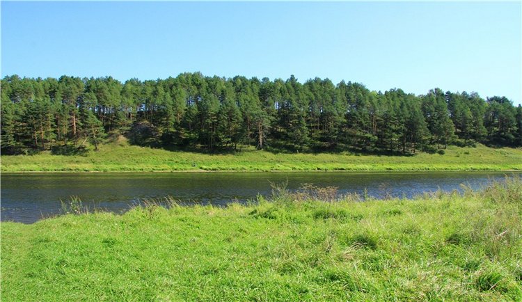 Старицкая Швейцария. Путешествие Мии. Minifee Miyu FairlyLand | Бэйбики Старицкая Швейцария. Путешествие Мии. Minifee Miyu FairlyLand