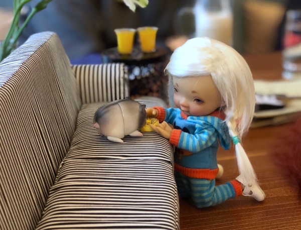 Знакомство Дрюши и Хомки — Куклы Irrealdoll (Ирреалдолл): BJD (БЖД) (фото 7)