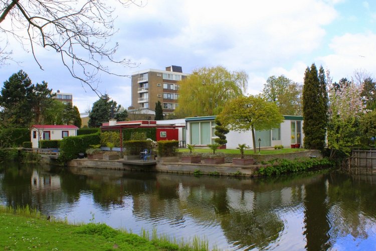 Цветущая Сакура. Прогулка по парку с Алисой. Весенние зарисовки