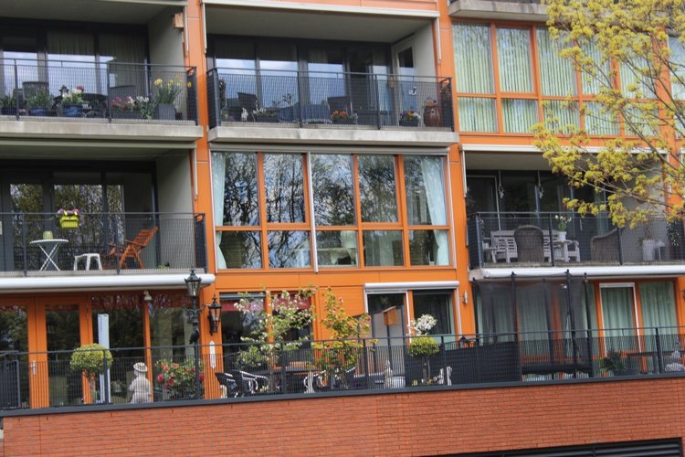 Цветущая Сакура. Прогулка по парку с Алисой. Весенние зарисовки