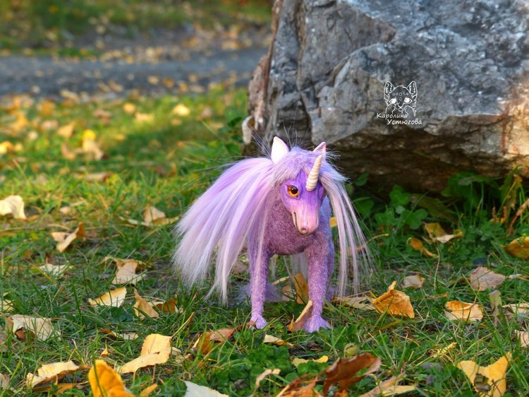 Единорог-страна мечты. Осеняя прогулка