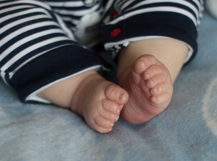 Мой Joseph — Куклы Реборн (Reborn): работы мастеров (фото 9)