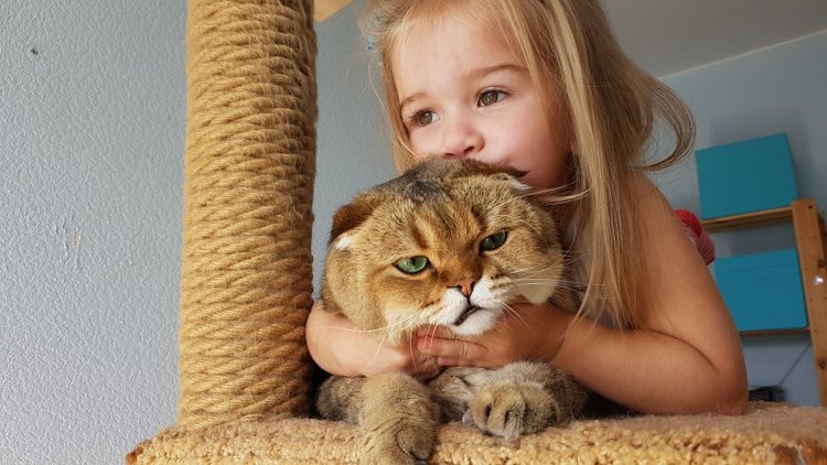 Предновогодняя мимимишная публикация. О любви. О нежности. О девочках. О котиках (фото 3)