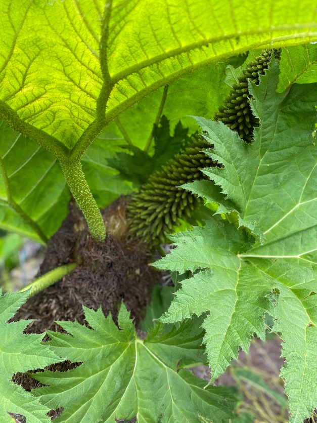 Галопом по Европам... 2 Часть
