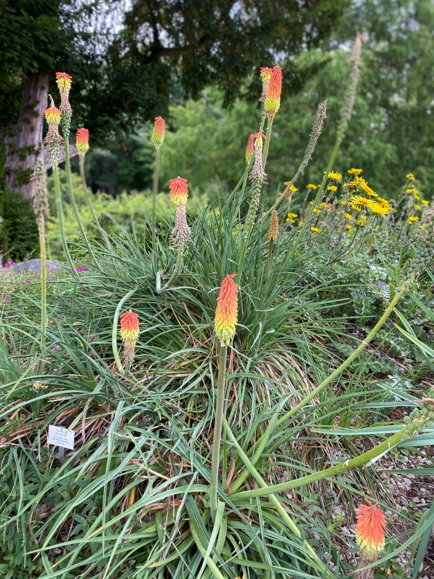 Галопом по Европам... 2 Часть