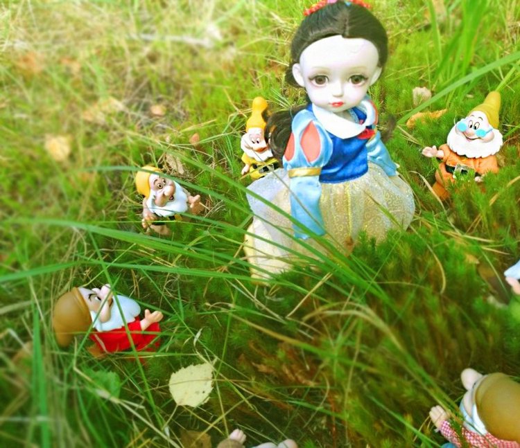 Осеннею порой под старою сосной... Принц, Белоснежка и гномы... встречаются