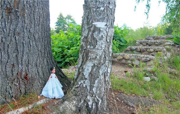 Принцессы в Райке — Куклы