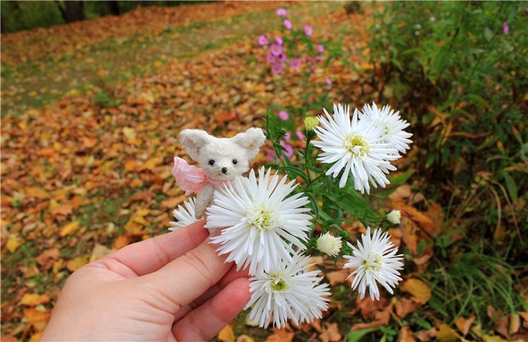 Золотая Осень в Берново с Имани. Mini Imani от Kaye Wiggs