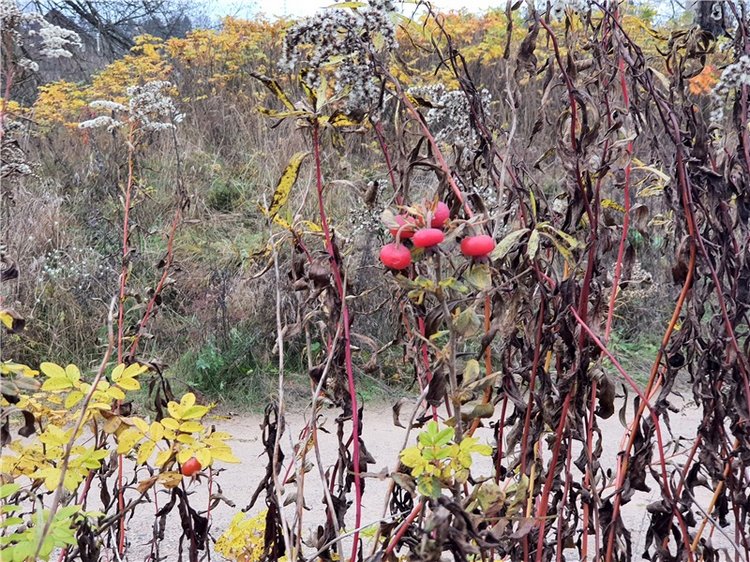 Путешествие по Святым местам Тверской области, продолжение